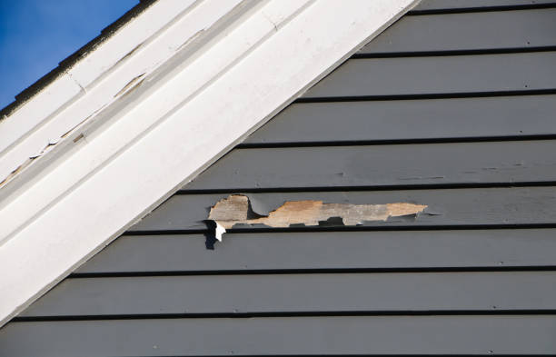 How To Choose The Right Materials for Your Siding Installation in 'Tioga, TX